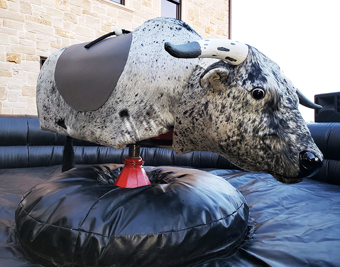 Mechanical Bull Rental Dfw at Kristi Richardson blog